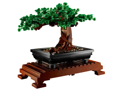 Bonsai Tree