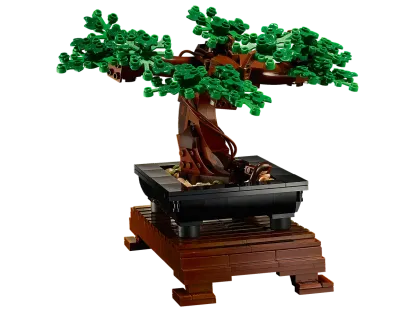 Bonsai Tree