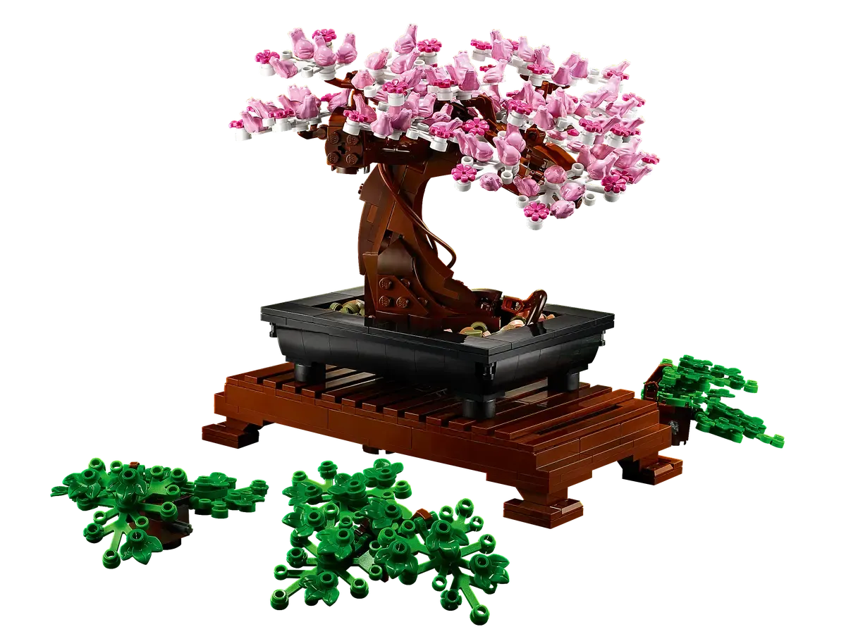 Bonsai Tree