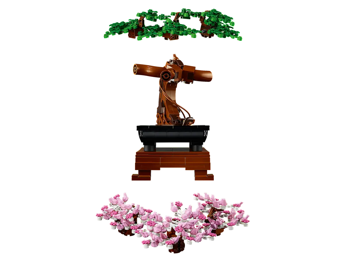Bonsai Tree