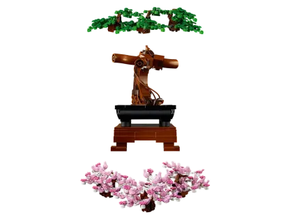 Bonsai Tree