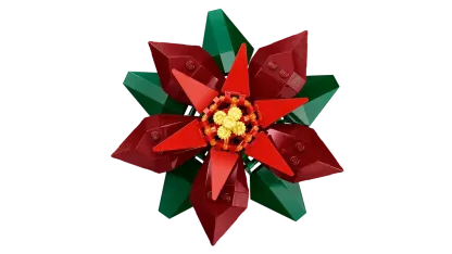 Poinsettia