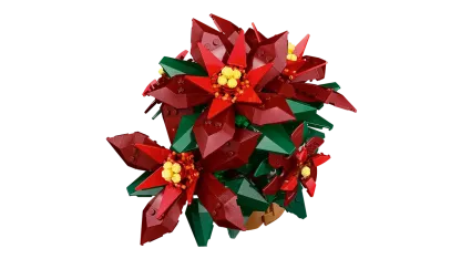 Poinsettia