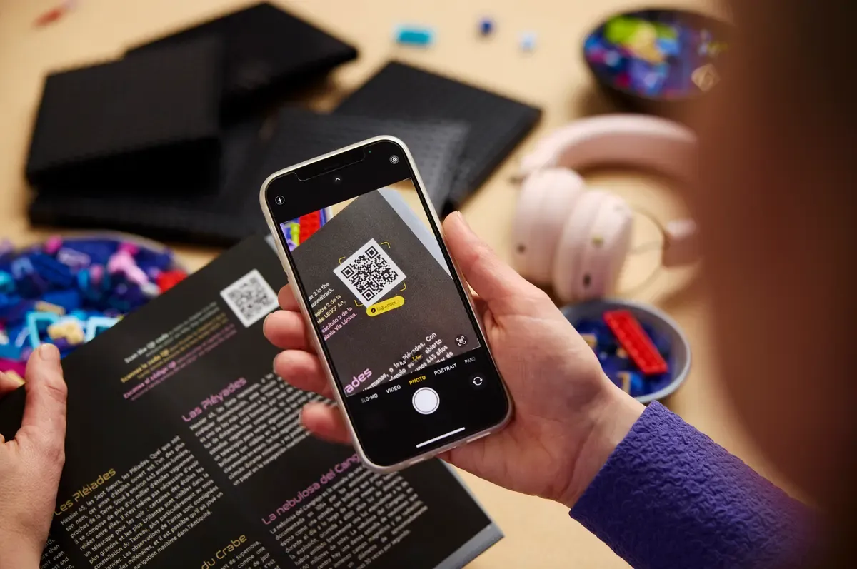 The Milky Way Galaxy