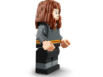 Harry Potter and Hermione Granger™