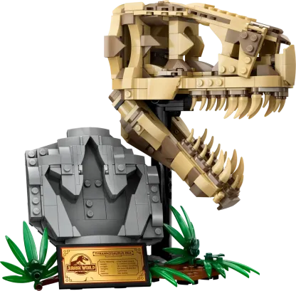 Dinosaur Fossils: T. rex Skull