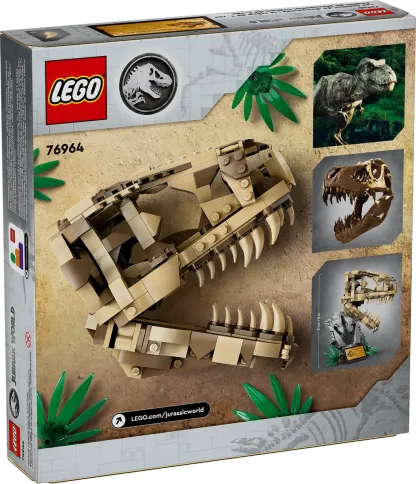 Dinosaur Fossils: T. rex Skull