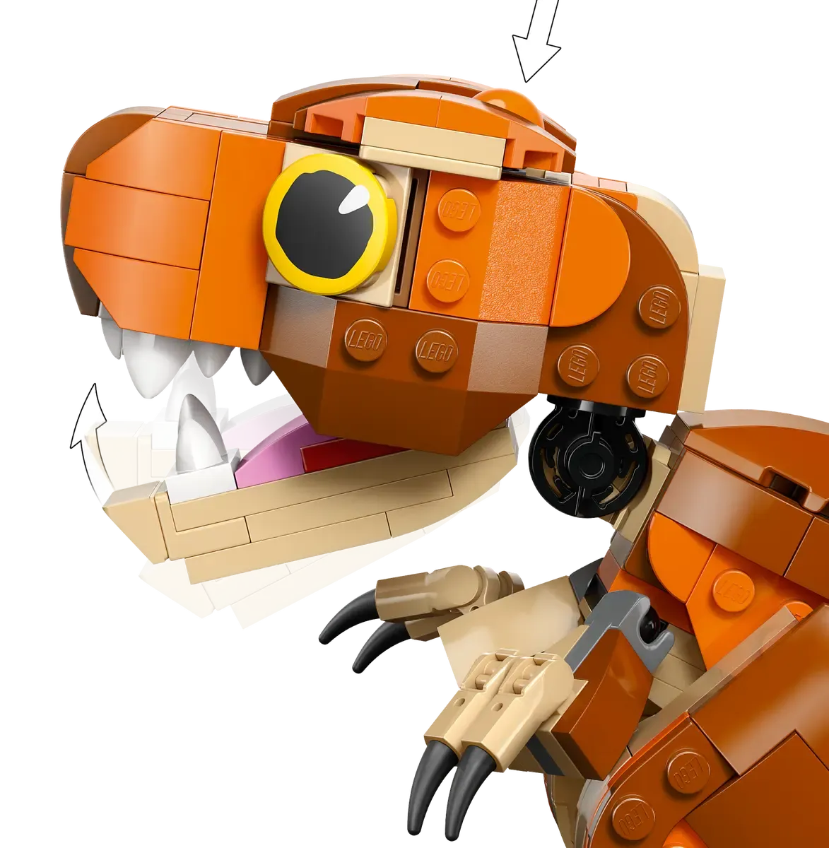 Little Eatie: T. rex