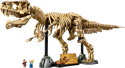 Dinosaur Fossils: Tyrannosaurus rex