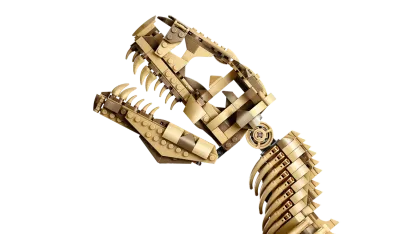 Dinosaur Fossils: Tyrannosaurus rex