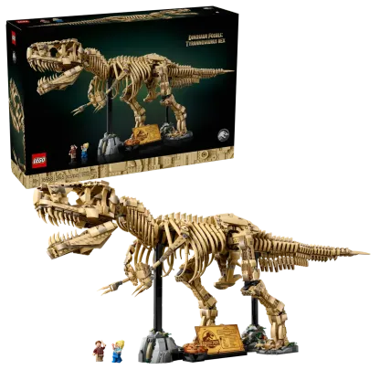 Dinosaur Fossils: Tyrannosaurus rex