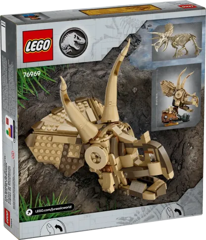 Dinosaur Fossils: Triceratops Skull