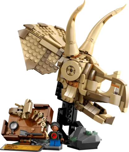 Dinosaur Fossils: Triceratops Skull