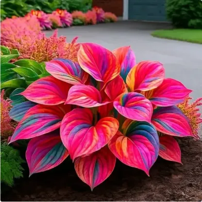 🌱Premium Rare Hosta Seeds🌿Shade-Tolerant Plant