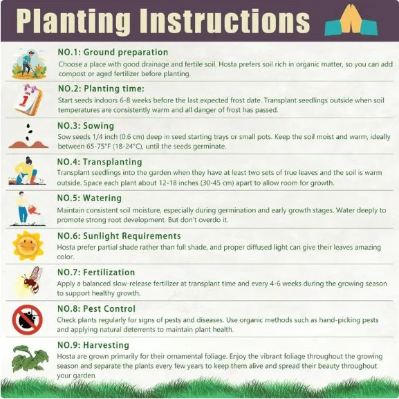 🌱Premium Rare Hosta Seeds🌿Shade-Tolerant Plant