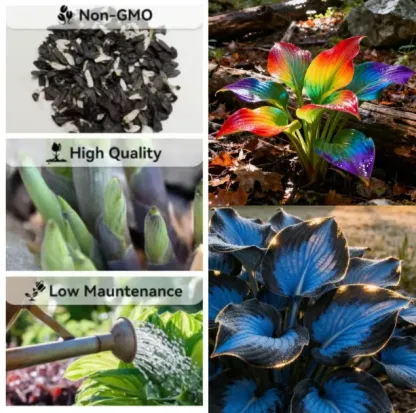 🌱Premium Rare Hosta Seeds🌿Shade-Tolerant Plant