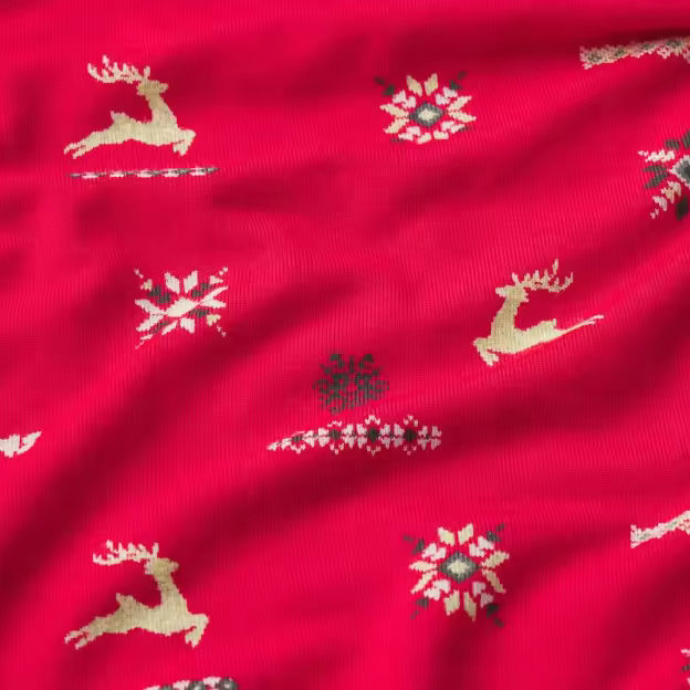 Christmas Print Cozy Pajama Set