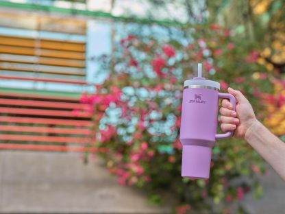 Stanthtley Quencher H2.0 FlowState Stainless Steel Vacuum Insulated Tumbler with Lid and Straw for Water, Iced Tea or Coffee