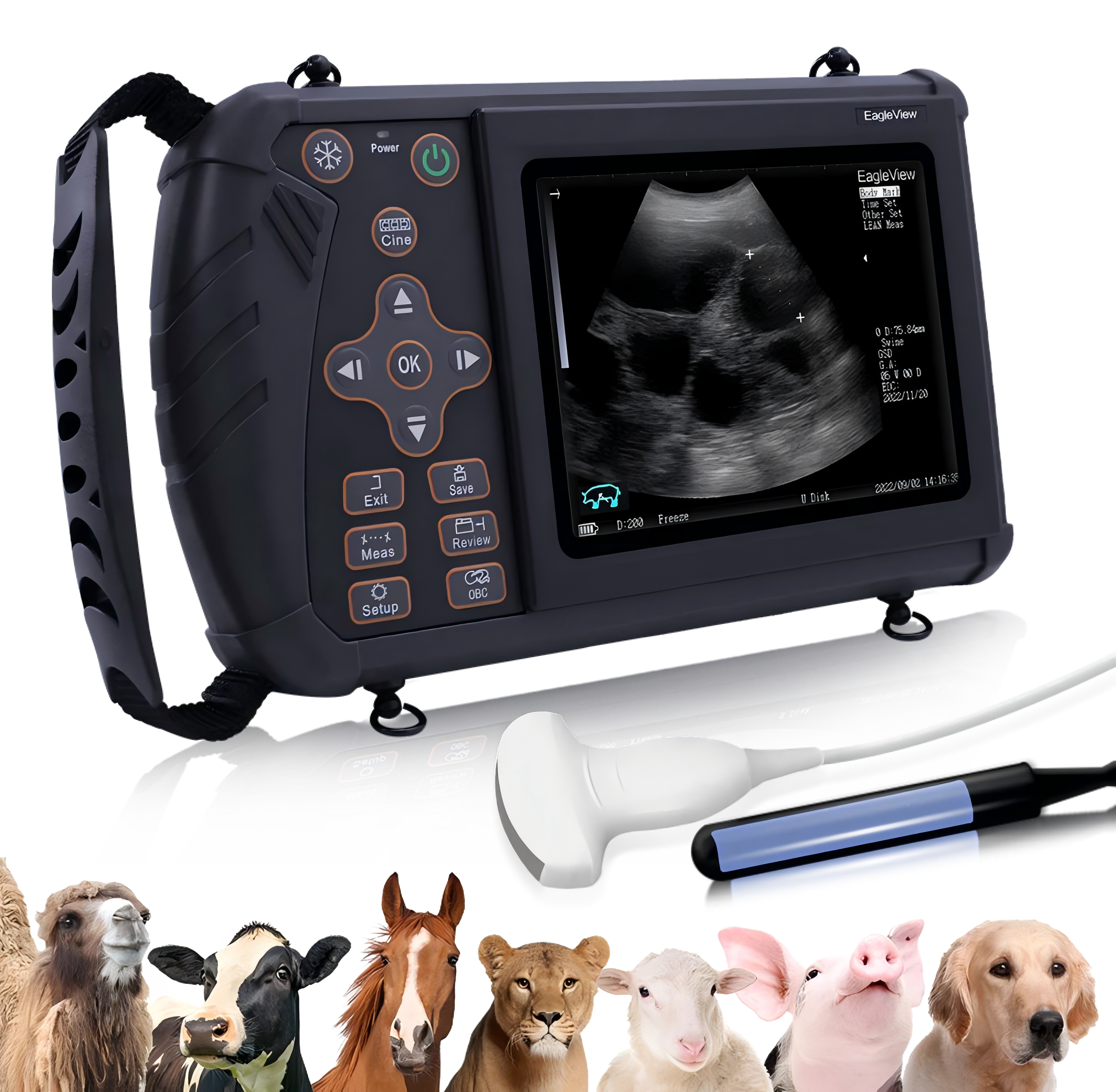 Ecografía veterinaria portátil para diversos animales,Escaneado fiable del embarazo, cálculo automático de la edad gestacional y la fecha prevista del parto, fácil de manejar