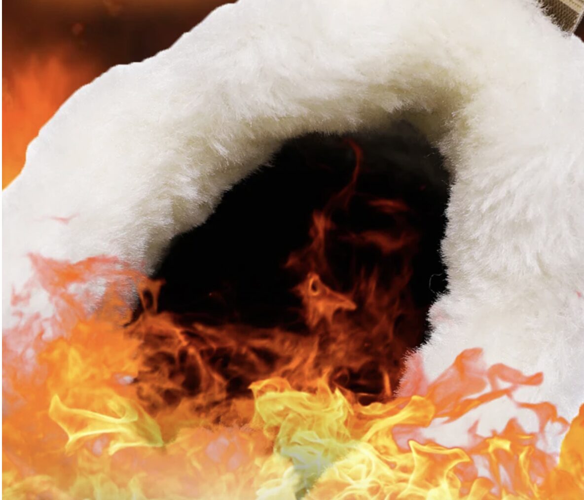 Arctic Run Barfußschuhe