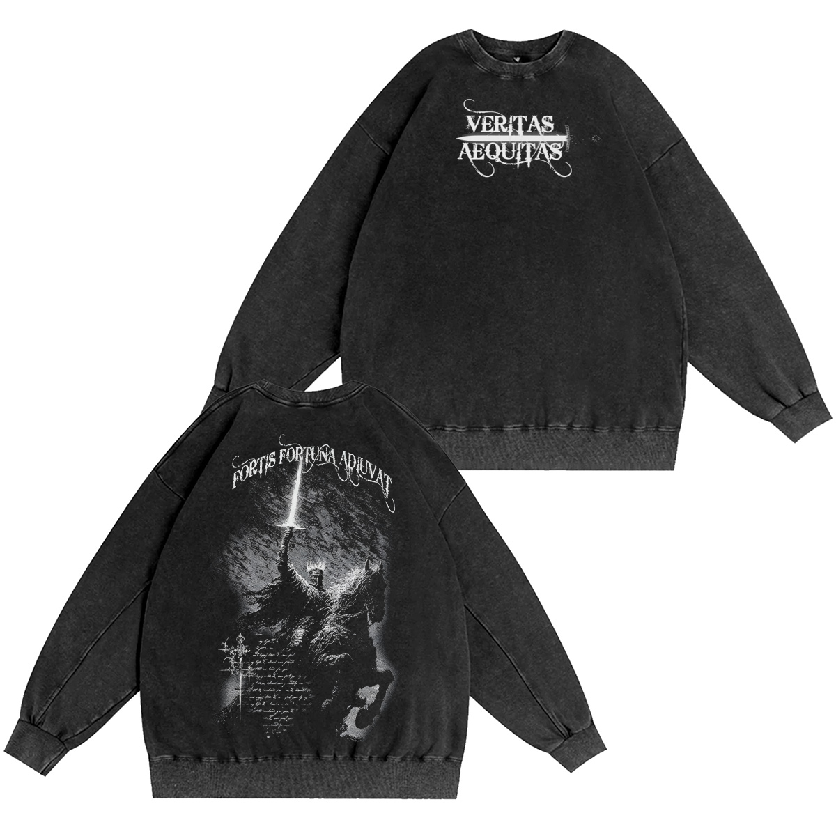 Fortis Fortuna Adiuvat Washed T-shirt/Crewneck/Hoodie