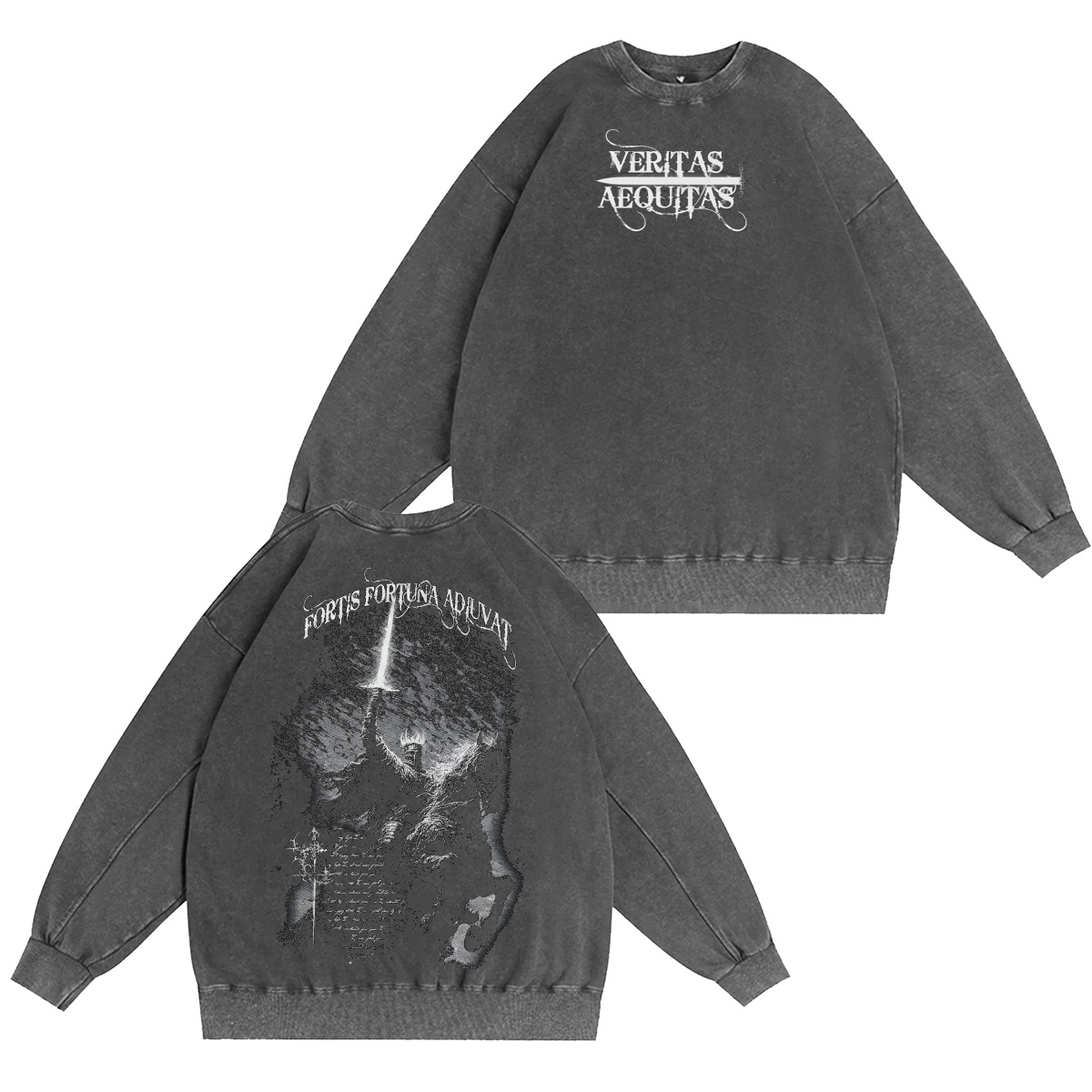 Fortis Fortuna Adiuvat Washed T-shirt/Crewneck/Hoodie