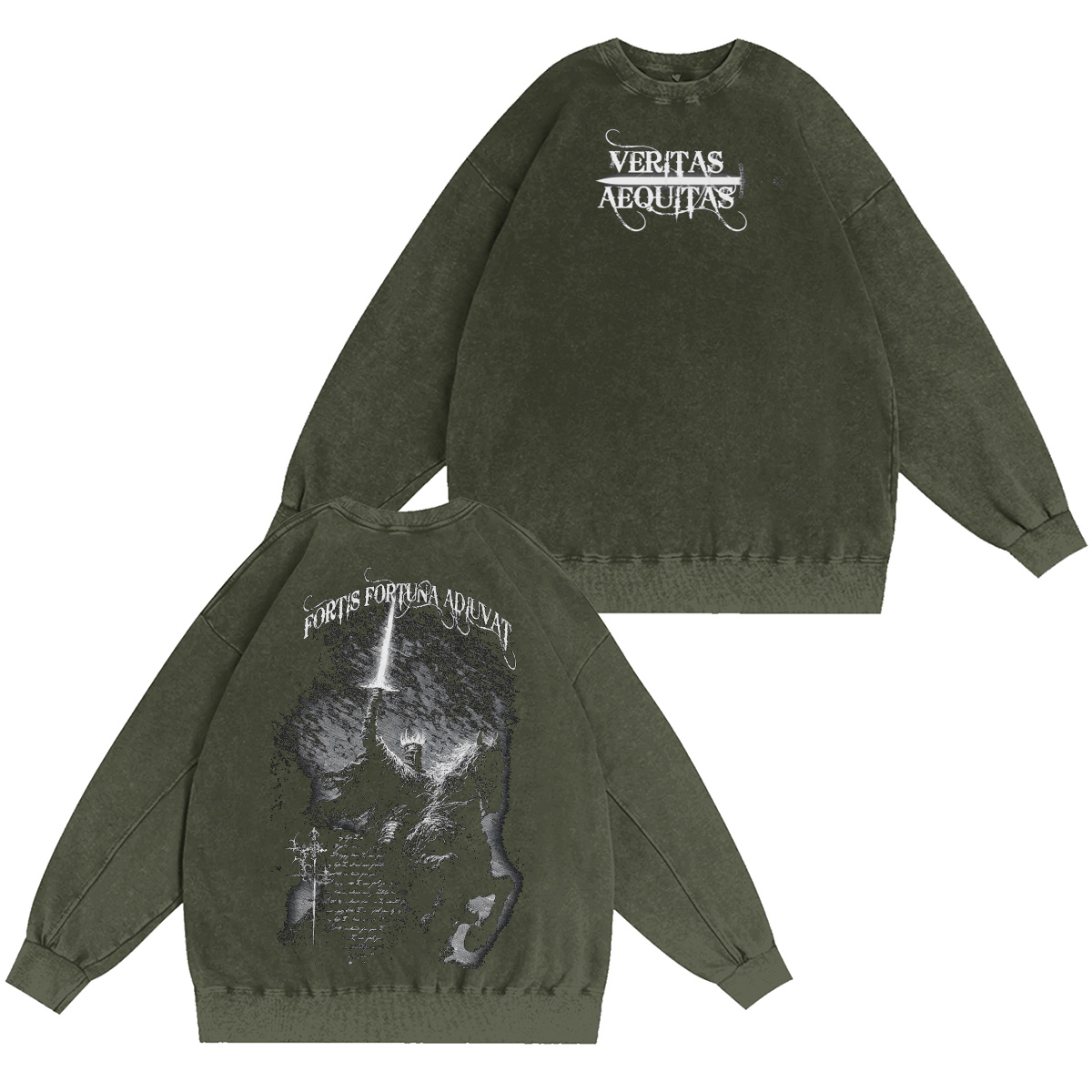 Fortis Fortuna Adiuvat Washed T-shirt/Crewneck/Hoodie
