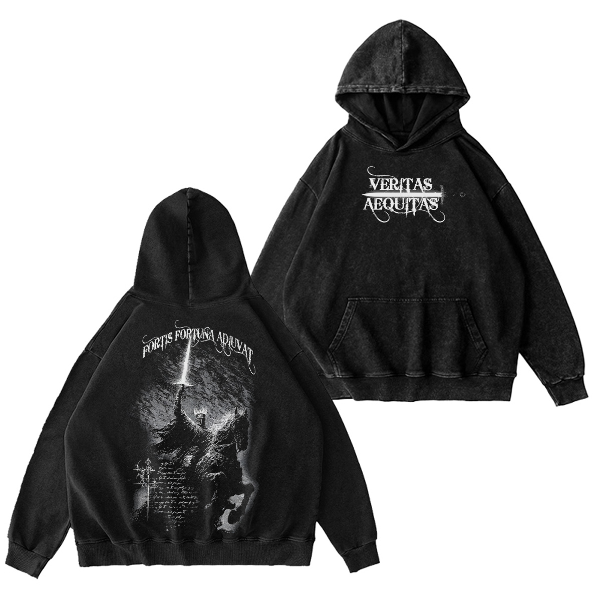 Fortis Fortuna Adiuvat Washed T-shirt/Crewneck/Hoodie