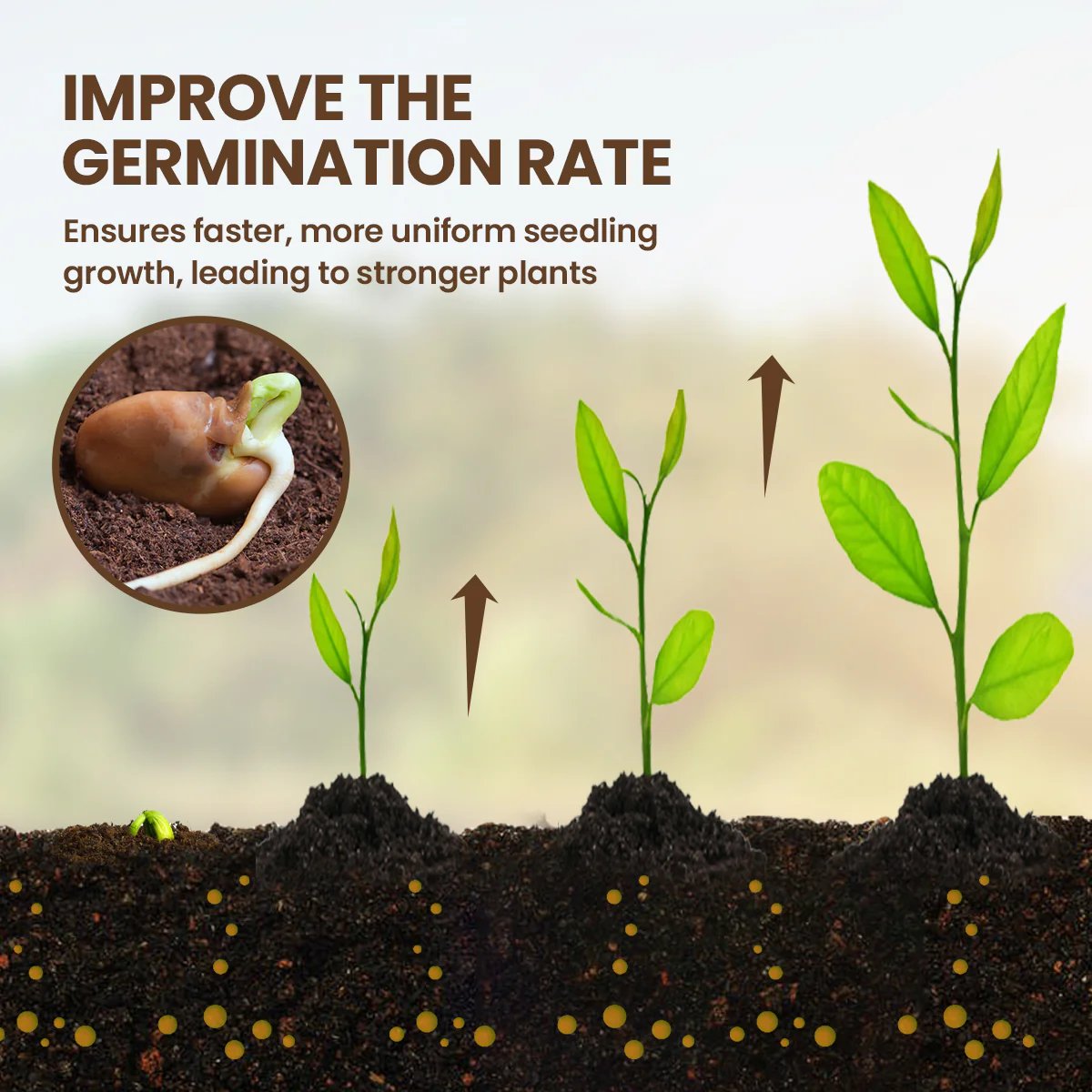 🔥Seasonal promotion- 59% OFF🔥-Soil Pro Activator