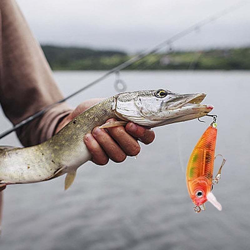 🐟24 Days Christmas Countdown Fish Tackle Set