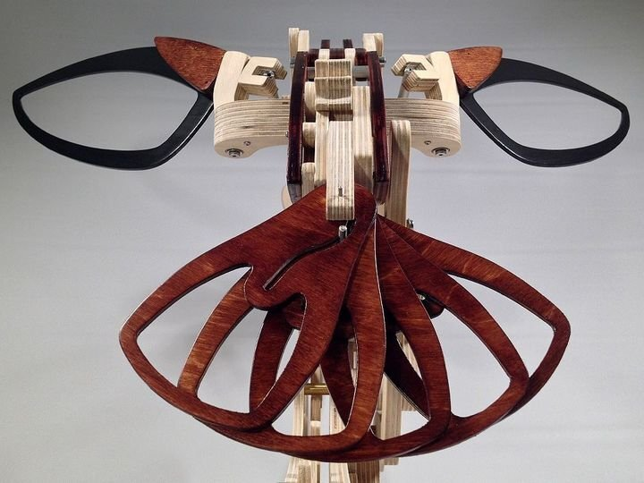 3D wooden mechanical hummingbird 🐦 + wooden mechanical turtle 🐢 2 free shipping