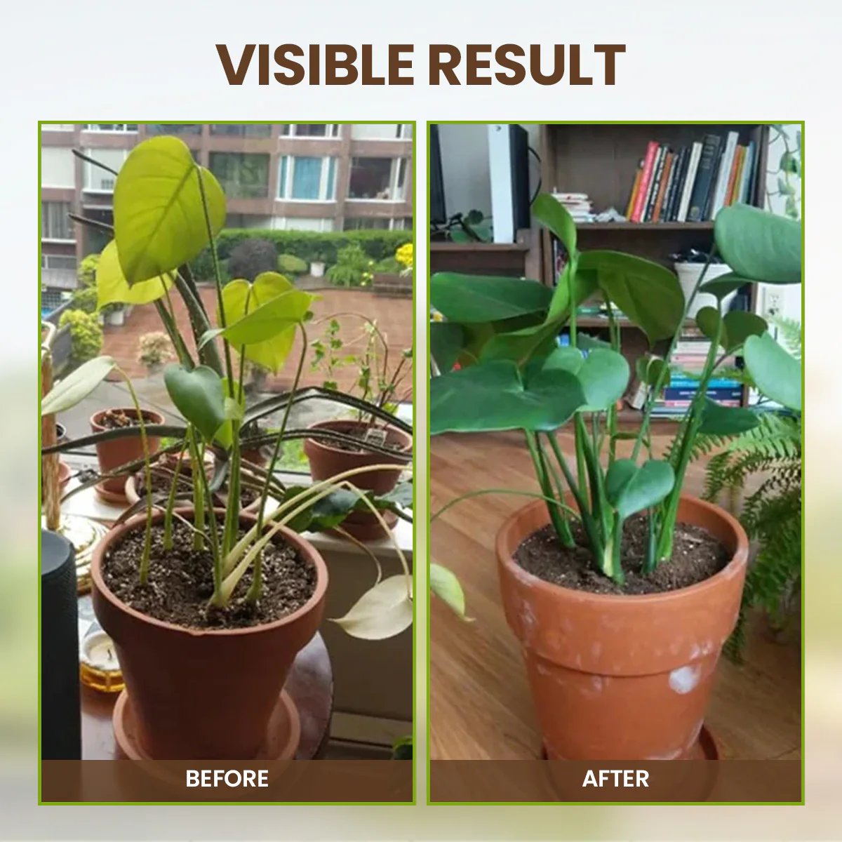 🔥Seasonal promotion- 59% OFF🔥-Soil Pro Activator