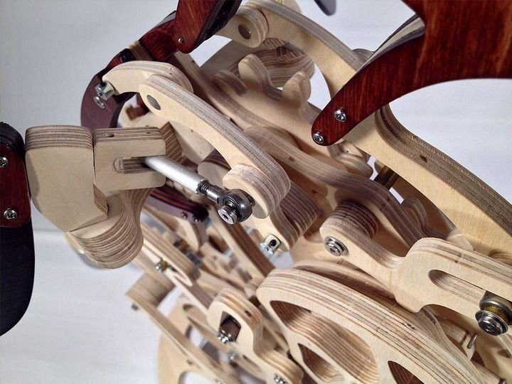 3D wooden mechanical hummingbird 🐦 + wooden mechanical turtle 🐢 2 free shipping