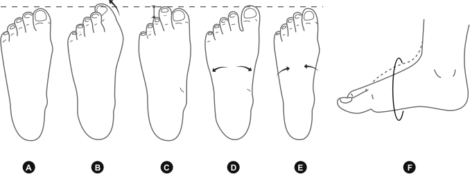footsize