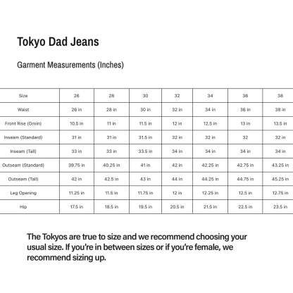 Tokyo Dad Jeans | Baggy, Wide-Leg