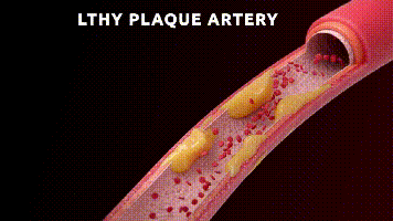 Blood circulation animation