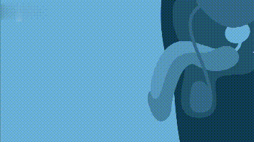Li-ESWT therapy animation