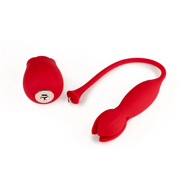 ❤️🔥2026 Trending 3-in-1 Pelvic Floor Muscle Trainer❤️🔥 —— ROSESTAR🌹🌹🌹