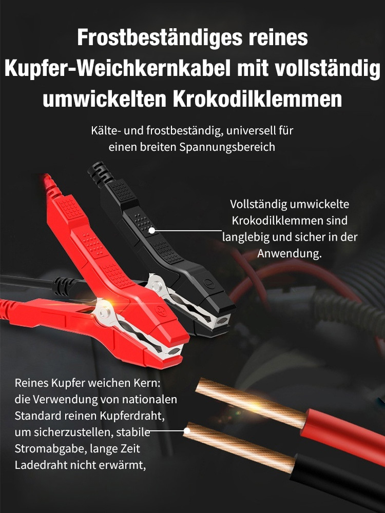 Autobatterie-Reparatur-Ladegerät