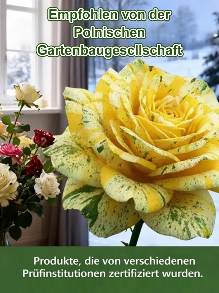 Die „Galaxie-Rose“ – die unvergängliche Schönheit der Blumenwelt 🌸Blütezeit bis zu 300 Tagen ✨Winterhart bis -20°C 🌿100% Anwachsgarantie ✨Pflegeleicht – nur gießen erforderlich 