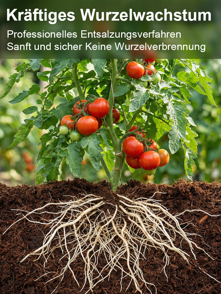 【100% Schädlingsfrei】Premium Kokos-Quellziegel (Ergibt 10L) | Nie wieder Erde schleppen | 5 Jahre Nutzbar & Torffrei | 50% Rabatt + Gratis Messbecher 🪴