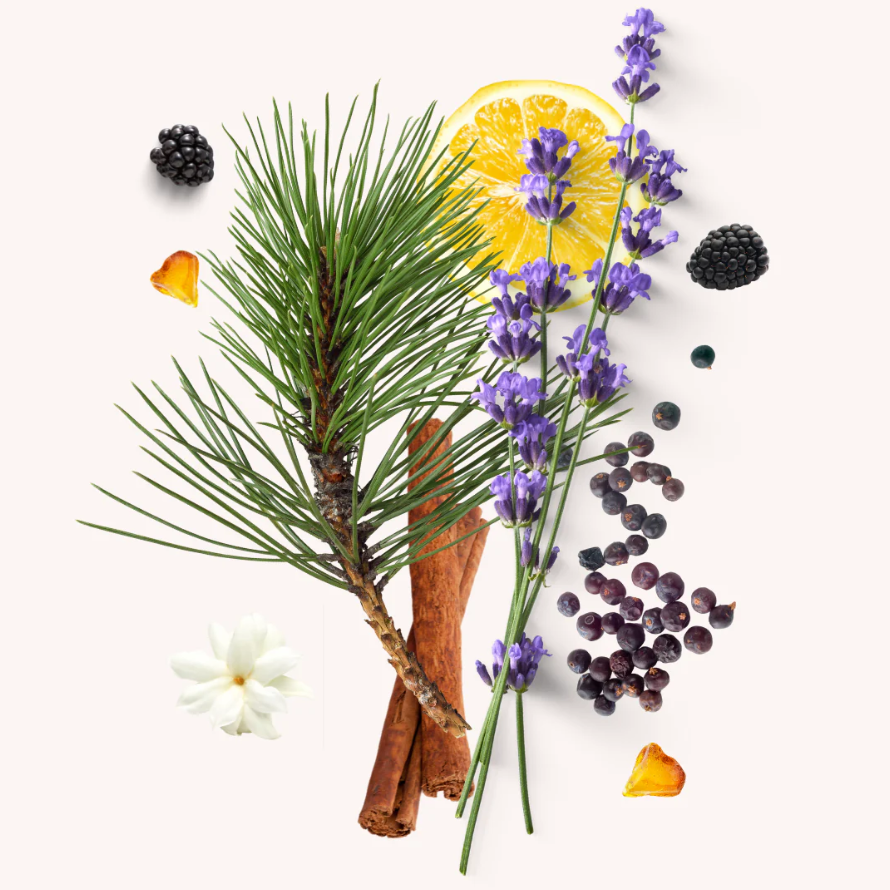 Rebel Pheromone Cologne Perfume