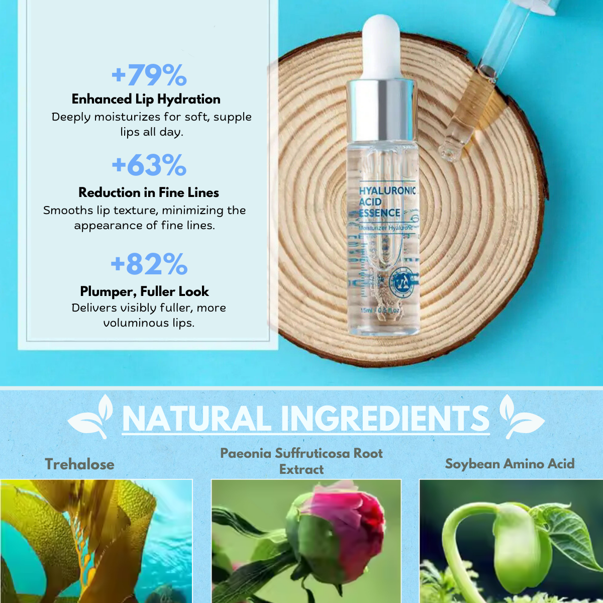 Natural Plump Roller Kit