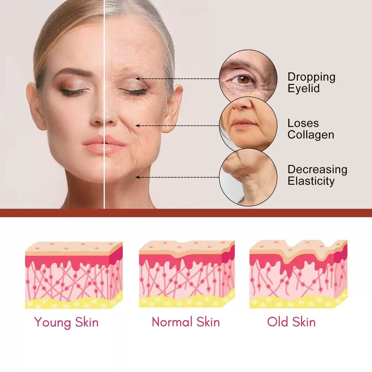 Palmitoyl Peptide Reversal Serum