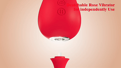 Detachable Rose Suction Head