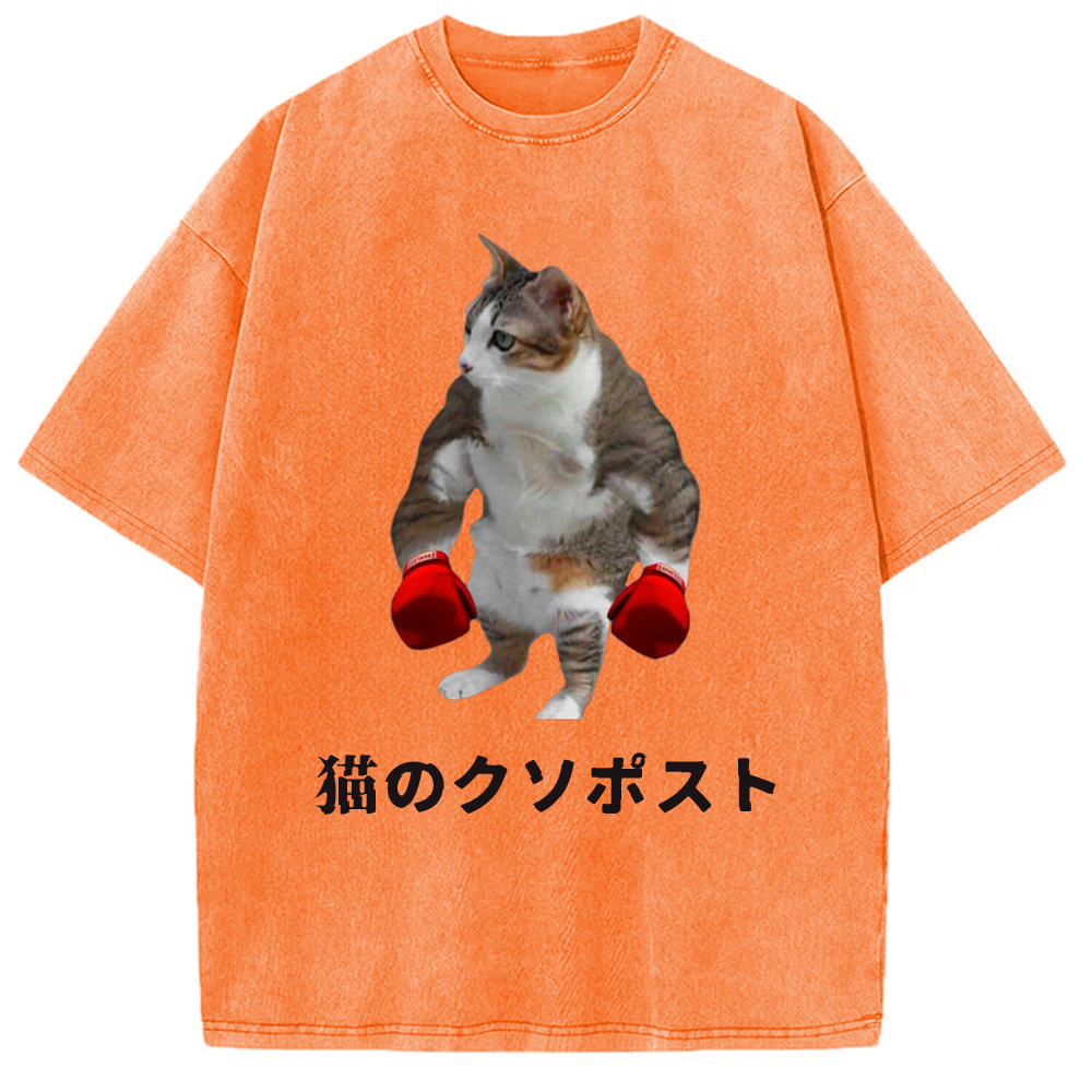 Tokyo-Assassin Cat Shitpost Meme Washed T-Shirt-Tokyo-Assassin