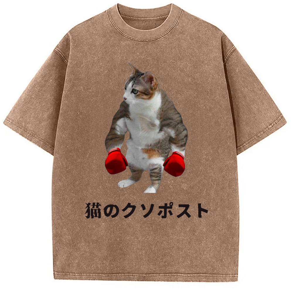 Tokyo-Assassin Cat Shitpost Meme Washed T-Shirt-Tokyo-Assassin