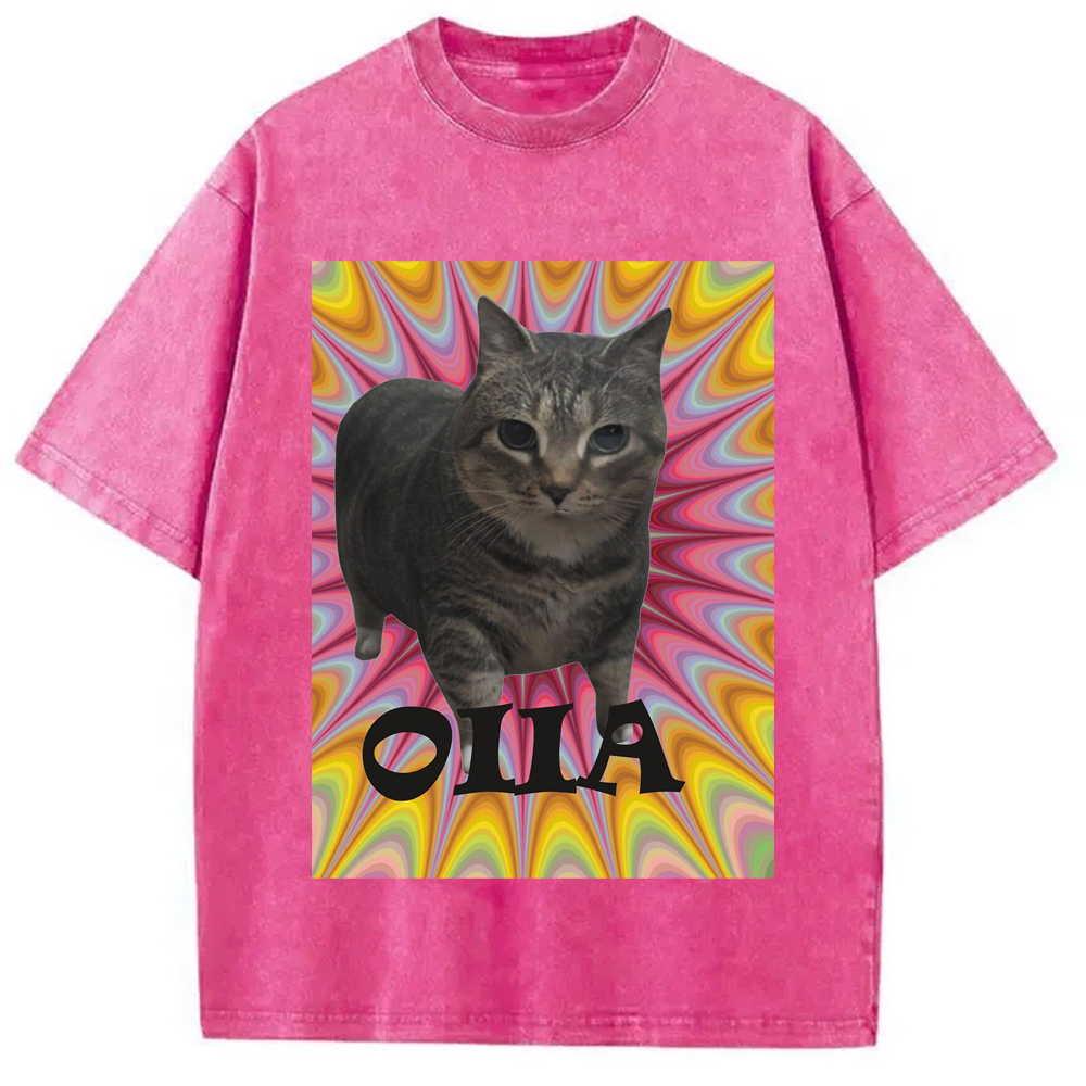 Tokyo-Assassin Oiia Cat Meme Washed T-Shirt-Tokyo-Assassin