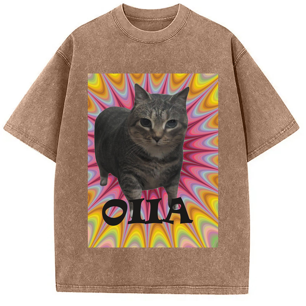 Tokyo-Assassin Oiia Cat Meme Washed T-Shirt-Tokyo-Assassin