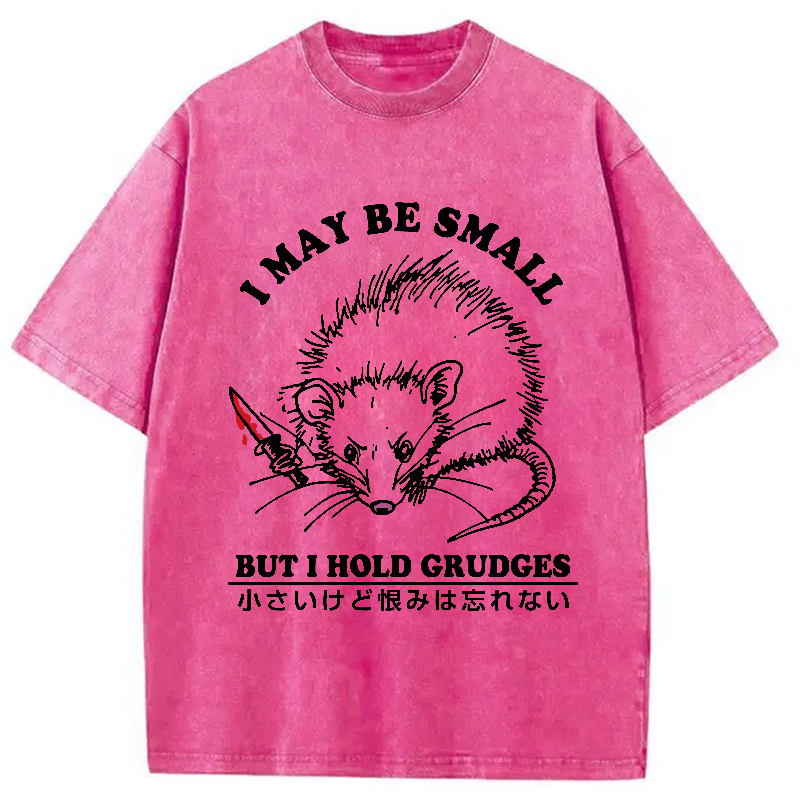 Tokyo-Assassin Mouse Holds A Grudge Funny Washed T-Shirt-Tokyo-Assassin